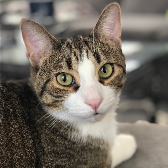 Meet your Posher, Christy - Picture 1 of 1